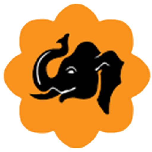 Trunk Big Data